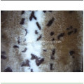 /msite/products/detail/productid/1018210/id/90136.html